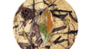 LECHOS DE BIOTOPO EVERGLADES WIO 2Kg