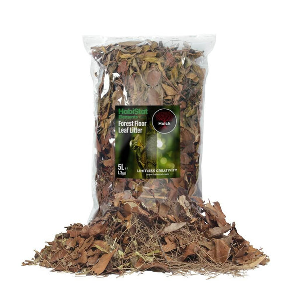Hojas -Mixed Leaf Litter