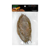 Hojas Rubber leaves