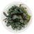 BUCEPHALANDRA BROWNIE PURPLE - IN VITRO