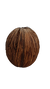 MINTOLA POD