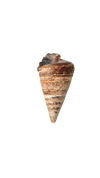 TELESCOPIUM SHELL