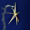 ORQUIDEA PLATYSTELE LANCILABRIS