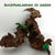 BUCEPHALANDRA IO GREEN