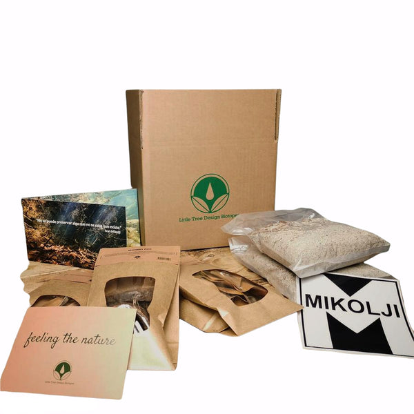 SET DE BOTÁNICOS IVÁN MIKOLJI