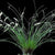 ORQUÍDEA DENDROCHILUM TENELLUM