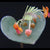 ORQUÍDEA LEPANTHES FIMBRIATA