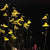 UTRICULARIA SUBULATA