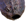 VAINA DE CACAO