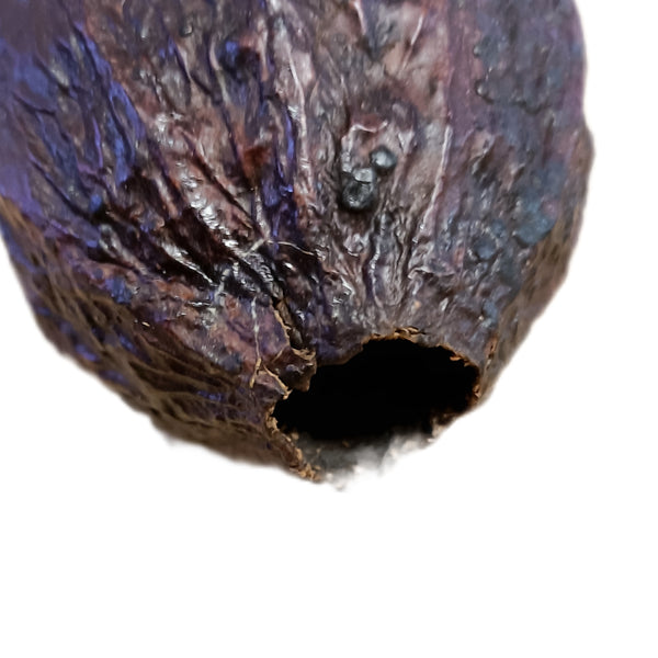 VAINA DE CACAO