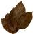 HOJA DE SAL(SHOREA ROBUSTA)