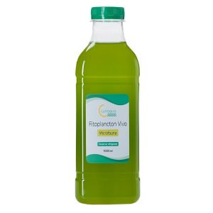 Fitoplancton de Lunaqua