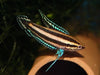 Parosphromenus Deissneri