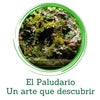 El Paludario, ¿Qué es y para que se utiliza?