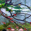 EL ACUARIO DE BIOTOPO