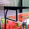 Soporte fijo para Chihiros WRGB II Pro