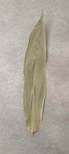HOJAS DE BAMBU XL