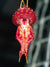 ORQUIDEA LEPANTHES NYCTERIS