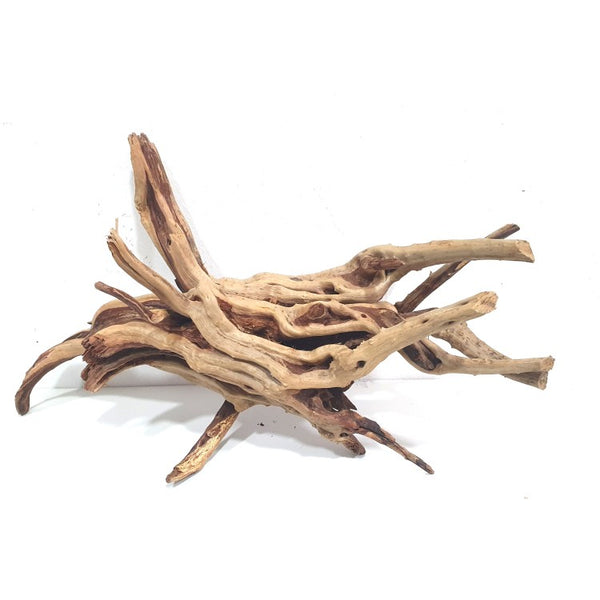 Madera spider wood