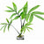 MONSTERA SUBPINNATA