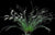 DENDROCHILUM LUZONENSE
