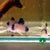 CORYDORAS PANDA