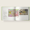 FISHES OF THE ORINOCO IN THE WILD PROMO EN WEB MIKOLJI