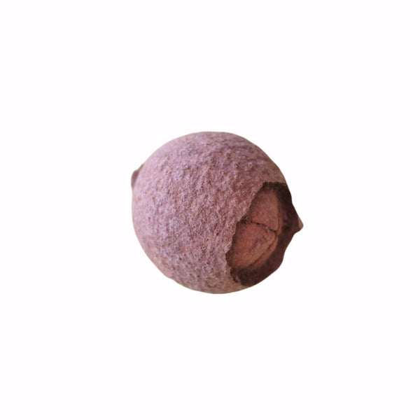 INDIAN FRUIT pack 5 unidades