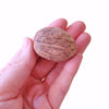 AMRA FRUIT PACK DE 5 UNIDADES