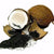 COCONUT CHARGE