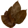 HOJA DE SAL(SHOREA ROBUSTA)