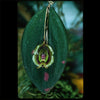 ORQUÍDEA LEPANTHES DODSONII